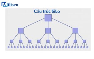 cấu trúc silo