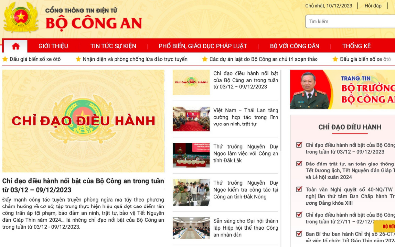 có mấy loại trang web