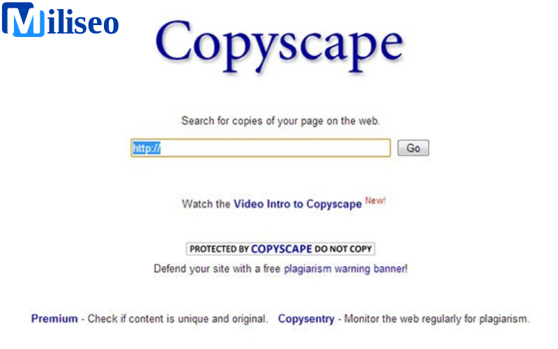 Copy Space