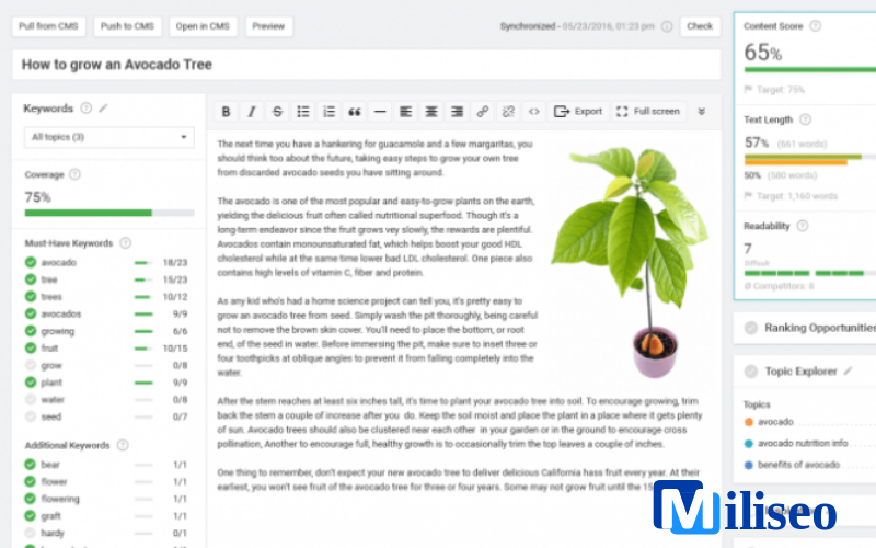 SearchMetrics Content Experience