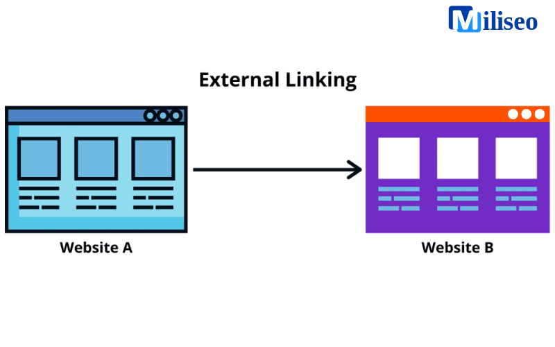 External link là gì