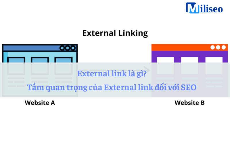 External link là gì