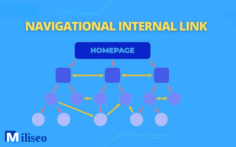 Internal link là gì