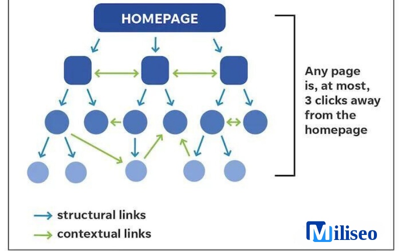 Internal link là gì