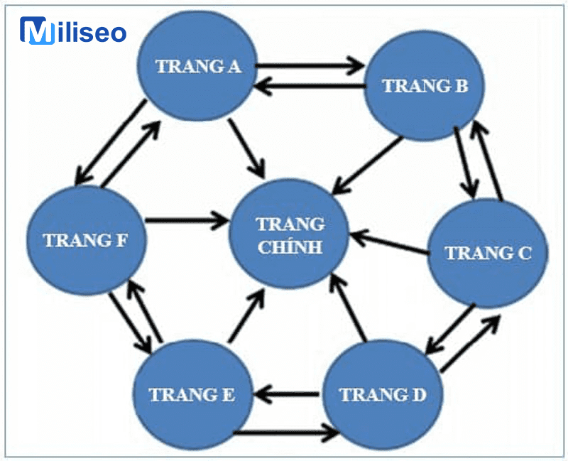 Backlink là gì